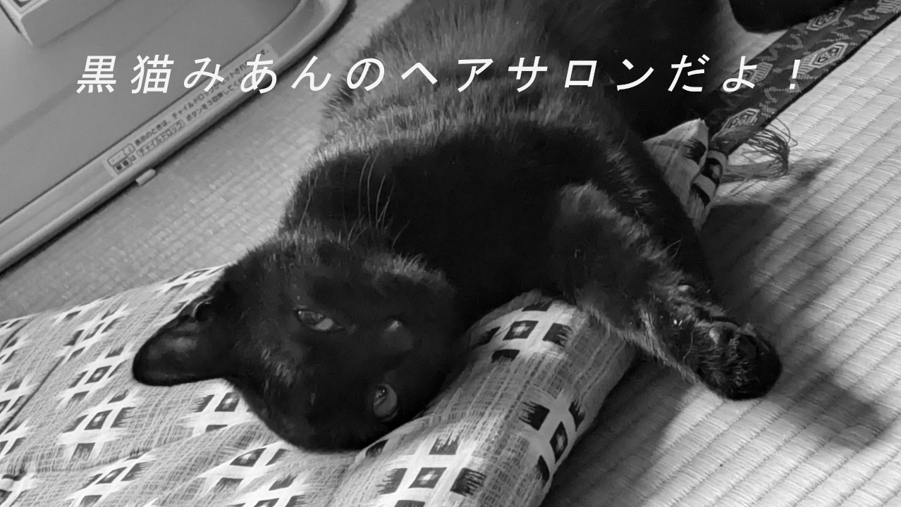 黒猫みあんのヘアサロン