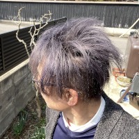 Maaシルバーヘア