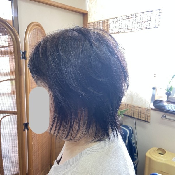 白髪をヘアマニキュアでぼかした画像